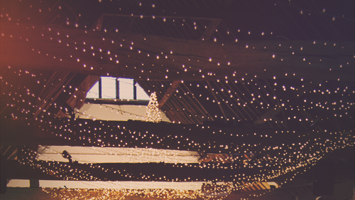 Light Party